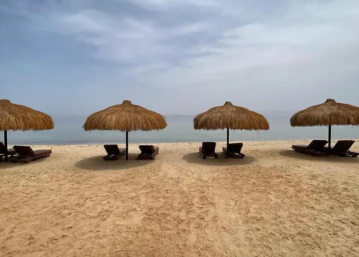 Ostello Palma Camp *