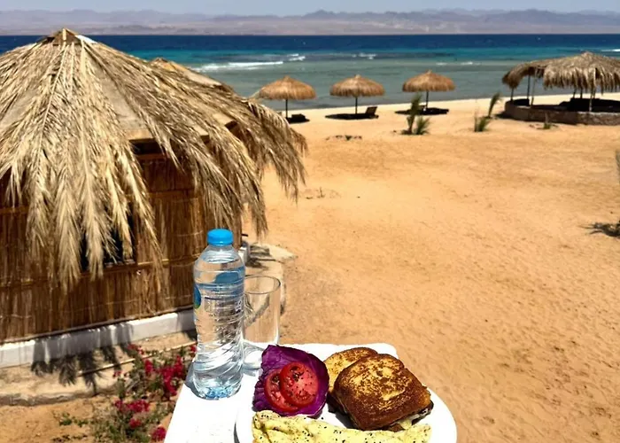 Palma Camp Ostello